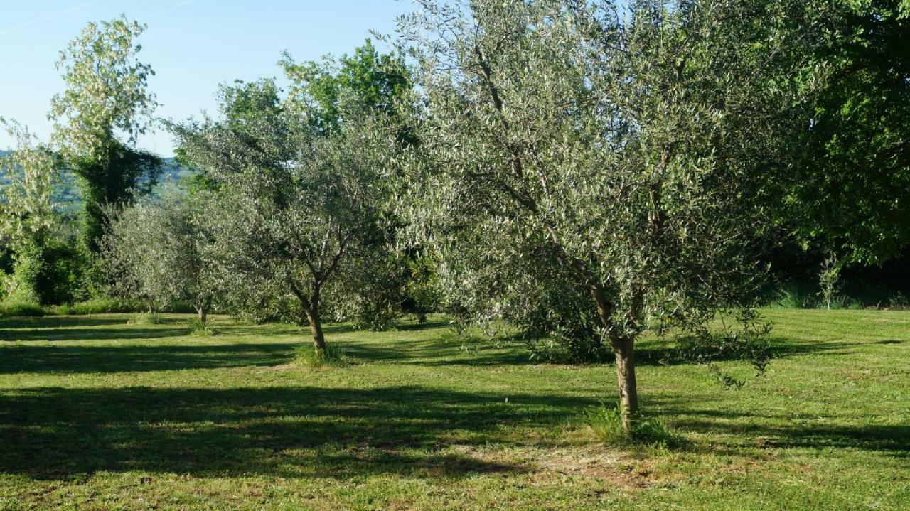 Agriturismo Poggio San Pietro ピティリアーノ エクステリア 写真
