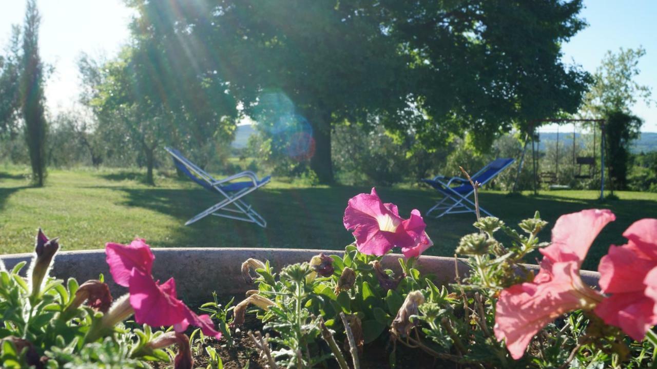 Agriturismo Poggio San Pietro ピティリアーノ エクステリア 写真